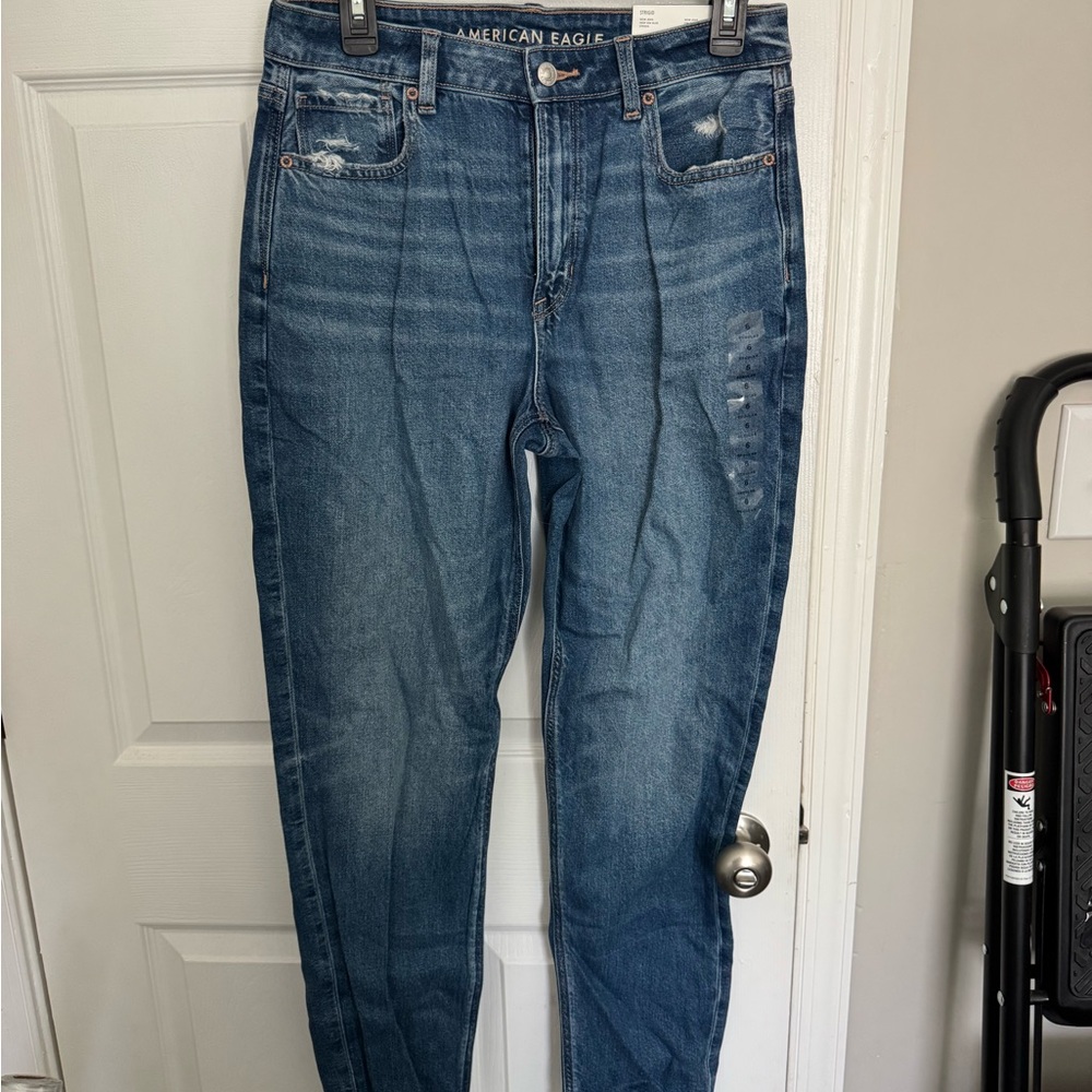 American Eagle Outfitters Strigid Mom Jeans